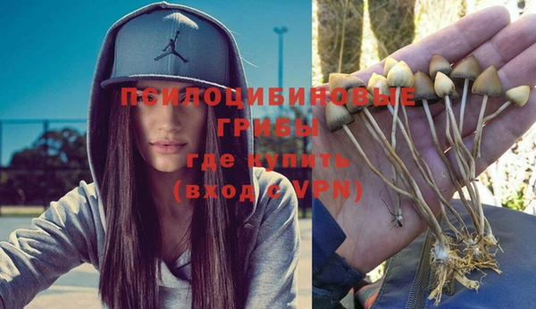 дживик Белоозёрский