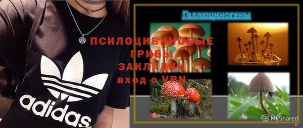 дживик Белоозёрский