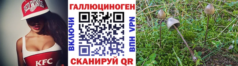 Галлюциногенные грибы Psilocybine cubensis  hydra ссылка  Богданович 
